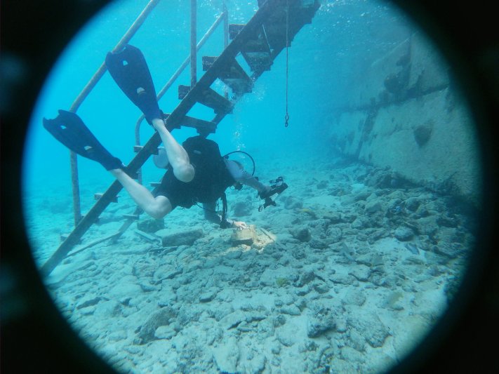 Bonaire 2021 