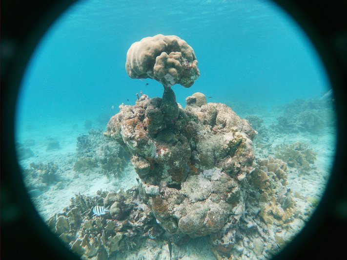 Bonaire 2021 