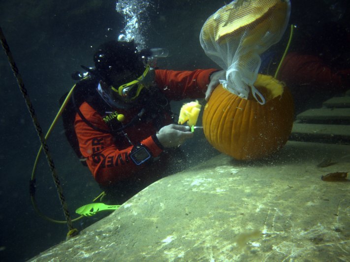 2022 Underwater Pumpkin Carving 