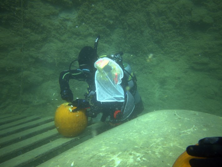 2022 Underwater Pumpkin Carving 