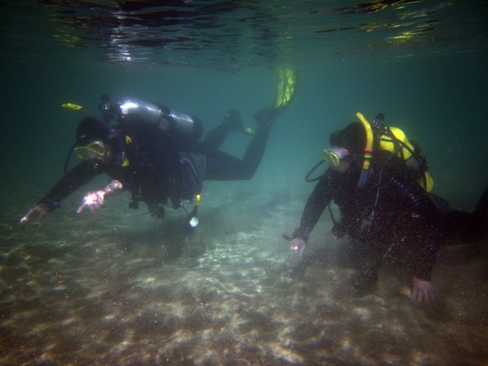 2022 Adaptive Diver Training 